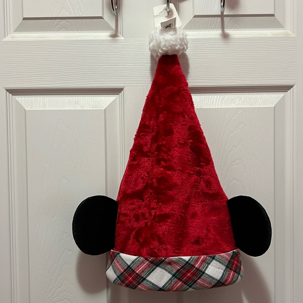Mickey Christmas Hat can be for any Gender